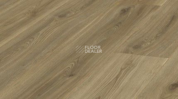 Ламинат Kronotex Exquisit 8мм d4689 Дуб Сьерра Золото фото 1 | FLOORDEALER